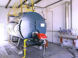 8噸燃?xì)忮仩t運(yùn)行費(fèi)用計算及報價分析